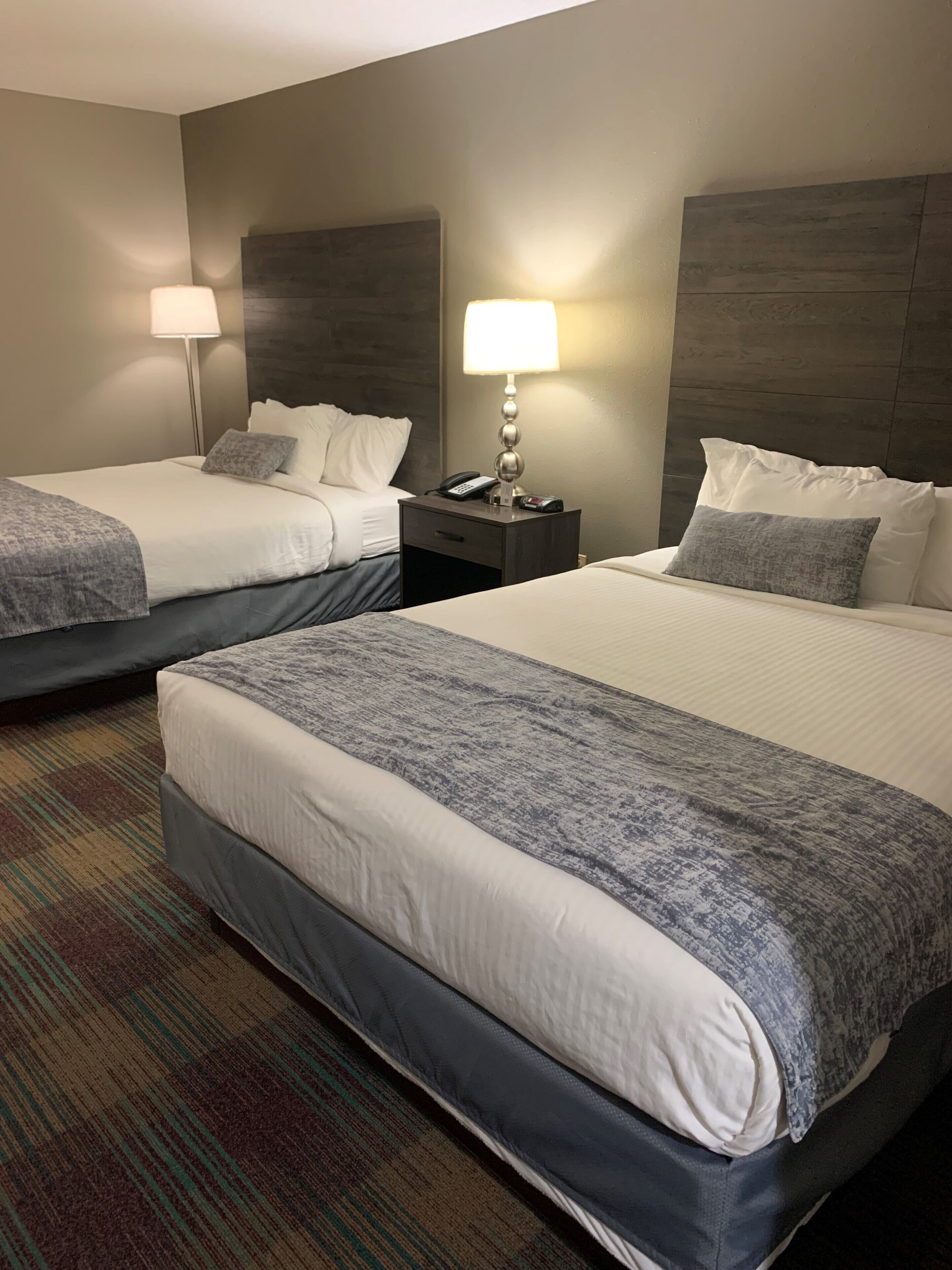 A hotel room with two beds, each with a grey and white duvet, a small bedside table with a lamp, and a patterned carpet.