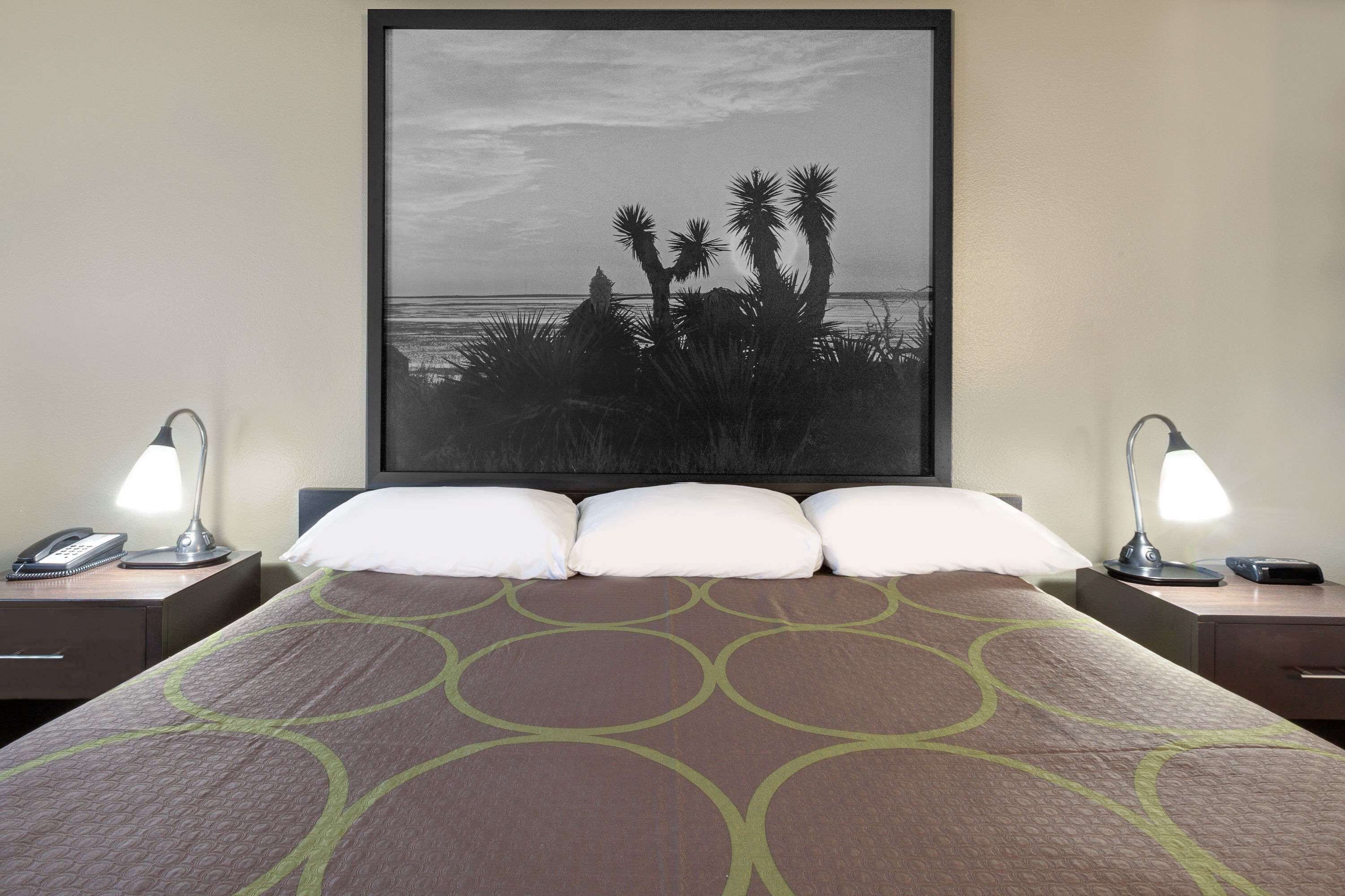 A hotel room with a bed, two bedside tables, a nightstand, a framed picture of palm trees and a beach, and two lamps.