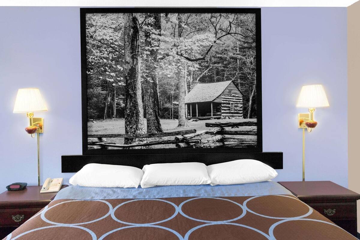 Un lit avec une tête de lit, deux lampes de chevet, un téléphone et un tableau représentant une cabane dans une forêt.