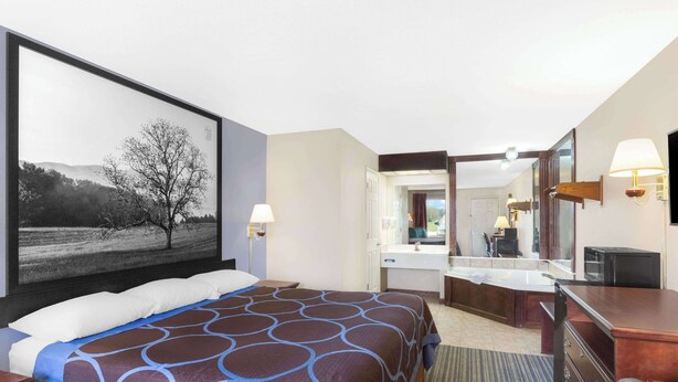 Een hotelkamer met een groot bed, een bureau, een kaptafel met spiegel en een televisie.