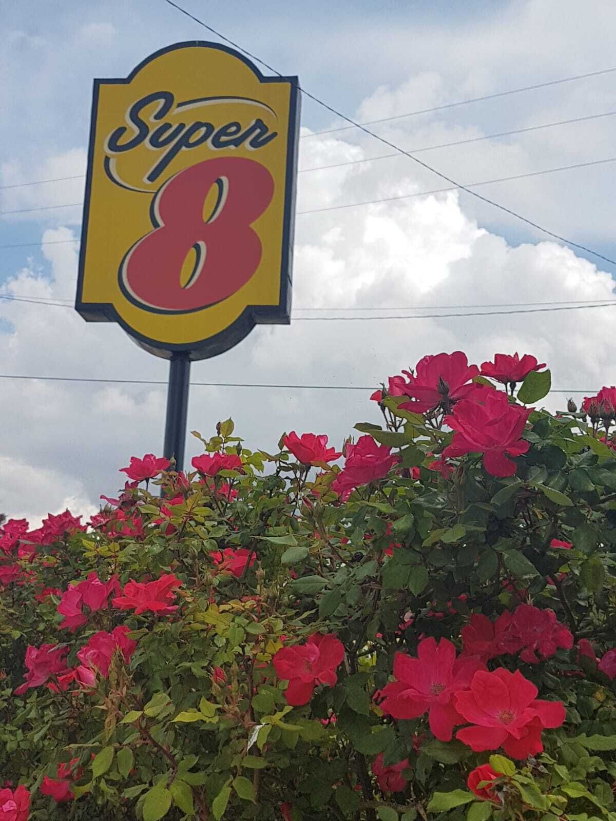 A sign with the number 8 and the word "Super" on it, surrounded by pink flowers.