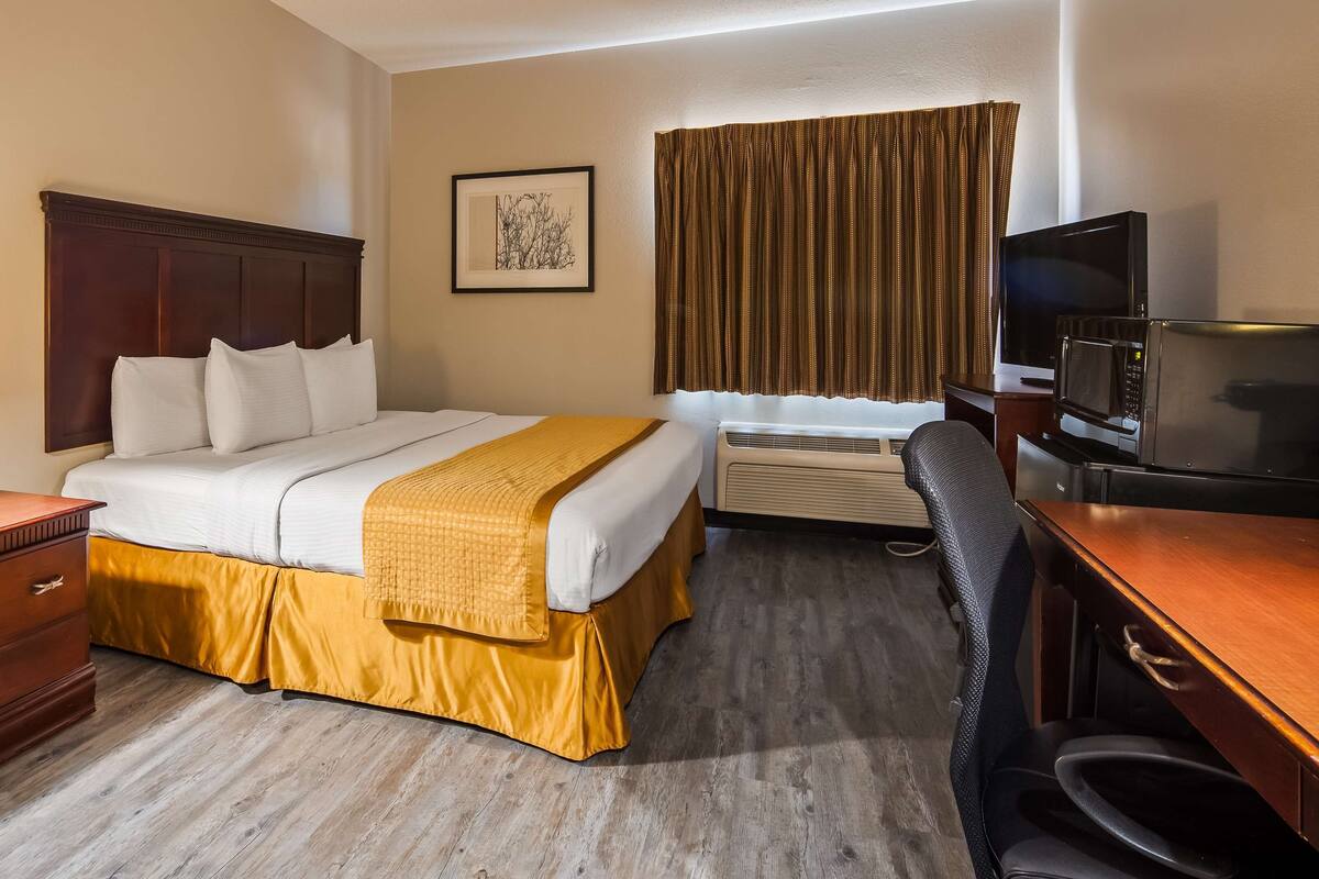 Une chambre d’hôtel avec un lit, un bureau, une chaise, une télévision et un tableau au mur.