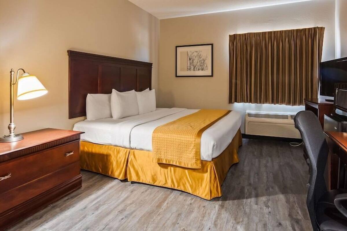 Une chambre d’hôtel équipée d’un lit, d’un bureau, d’une chaise, d’une télévision et d’une fenêtre avec des rideaux.