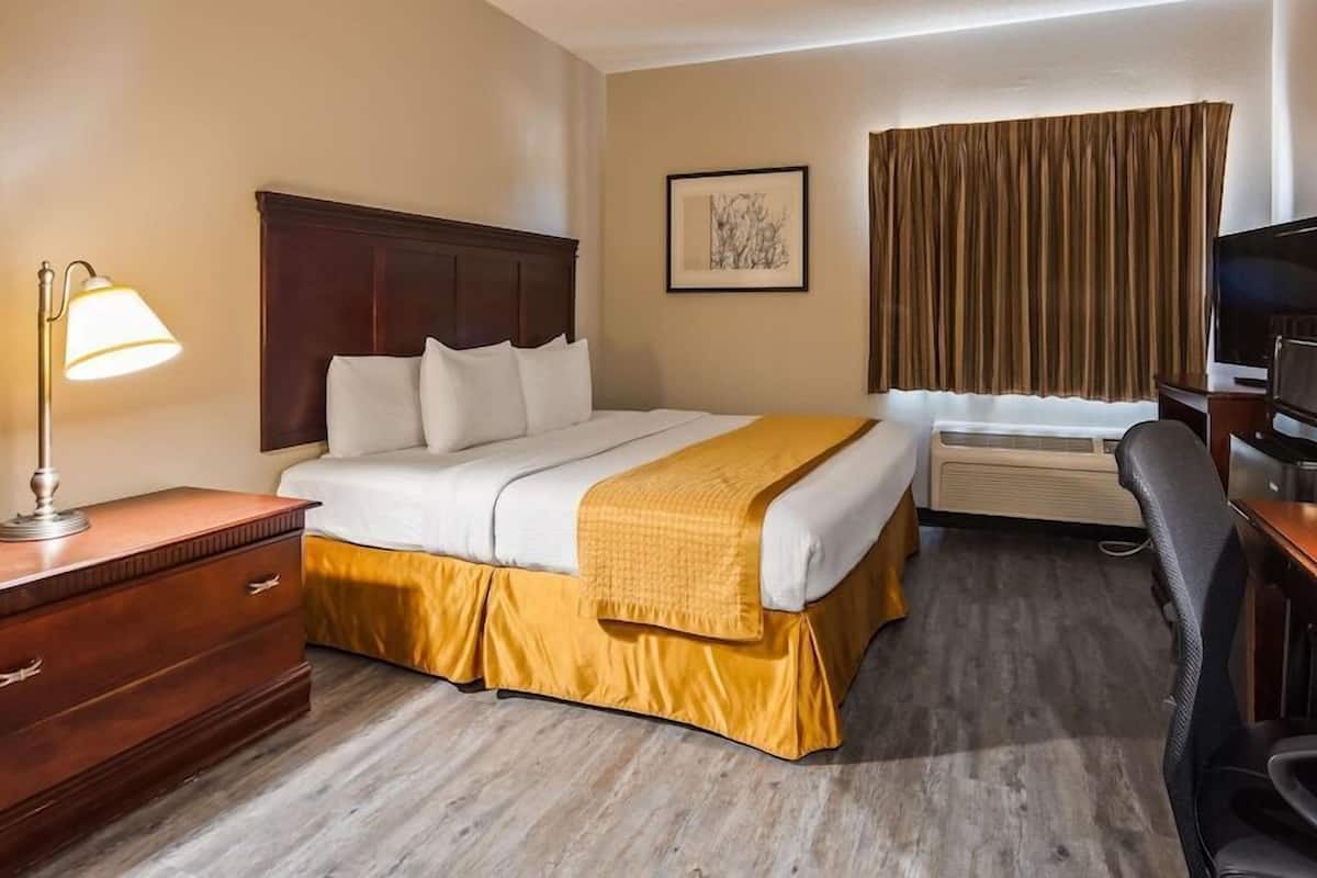 Une chambre d’hôtel équipée d’un lit, d’un bureau, d’une chaise, d’une télévision et d’une fenêtre avec des rideaux.