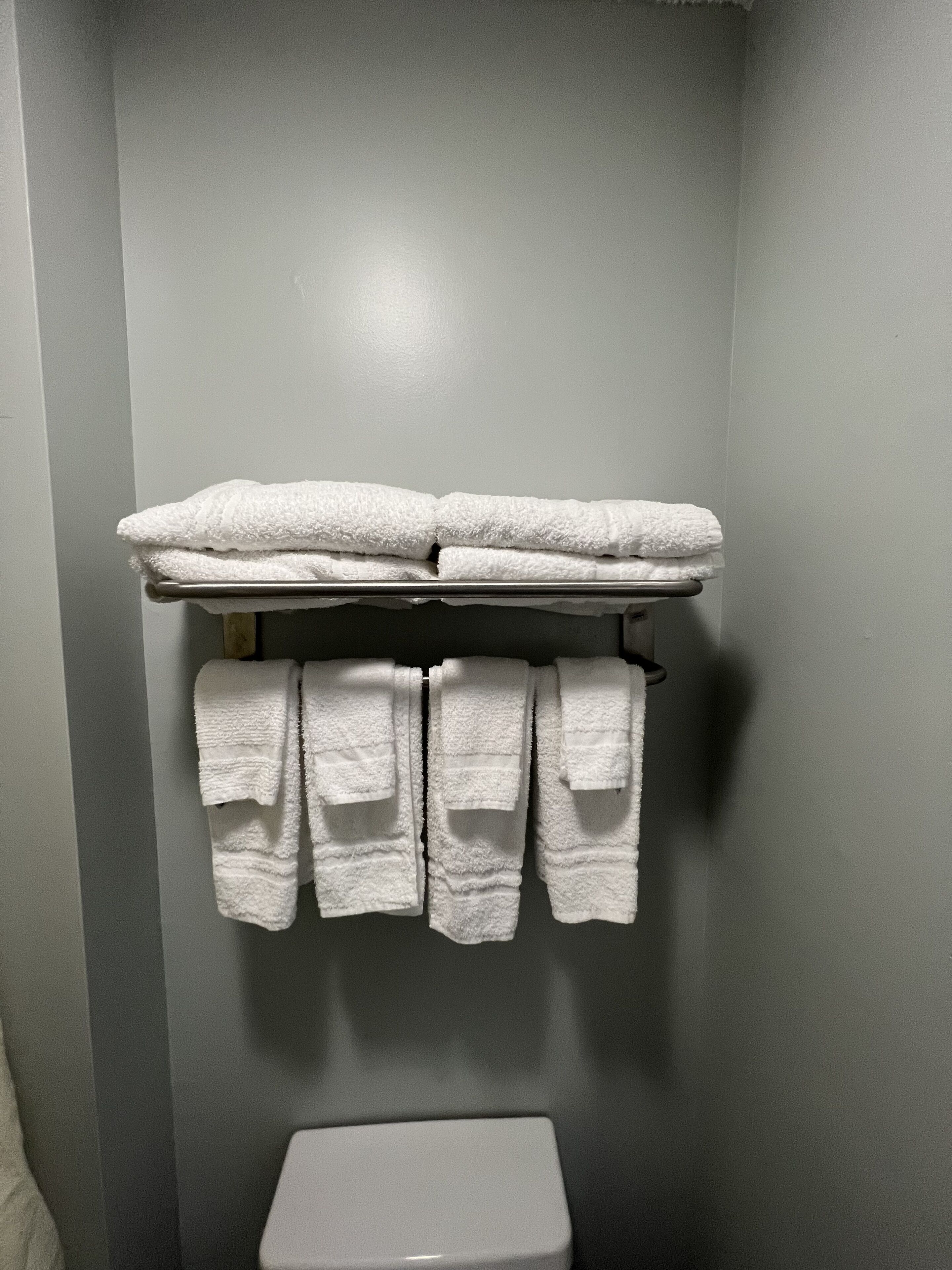 A bathroom with a toilet, a towel rack with folded towels, and a wall-mounted towel rack with towels.