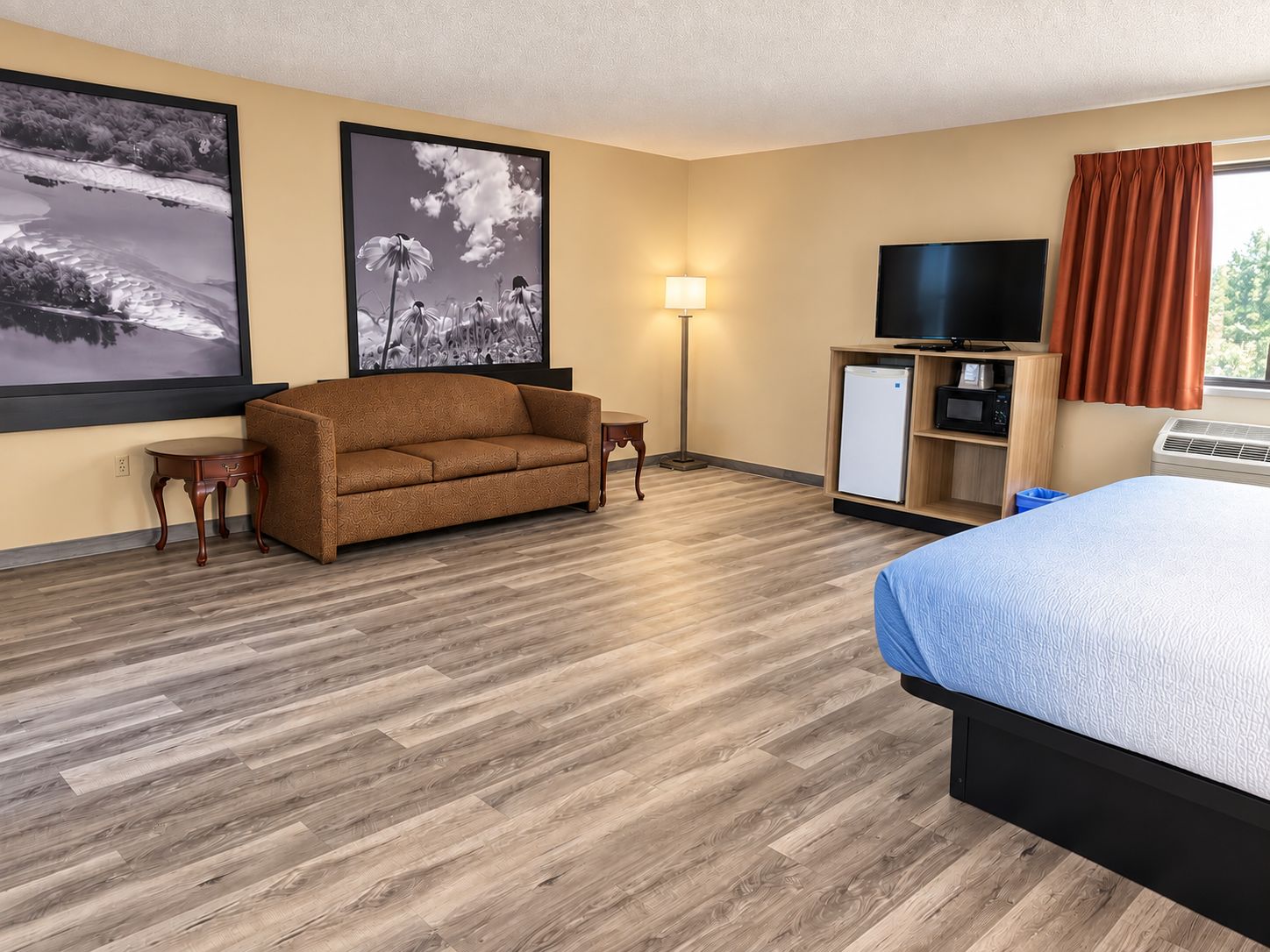 Une chambre d’hôtel équipée d’un lit, d’un canapé, d’une télévision, d’un réfrigérateur et d’une lampe.