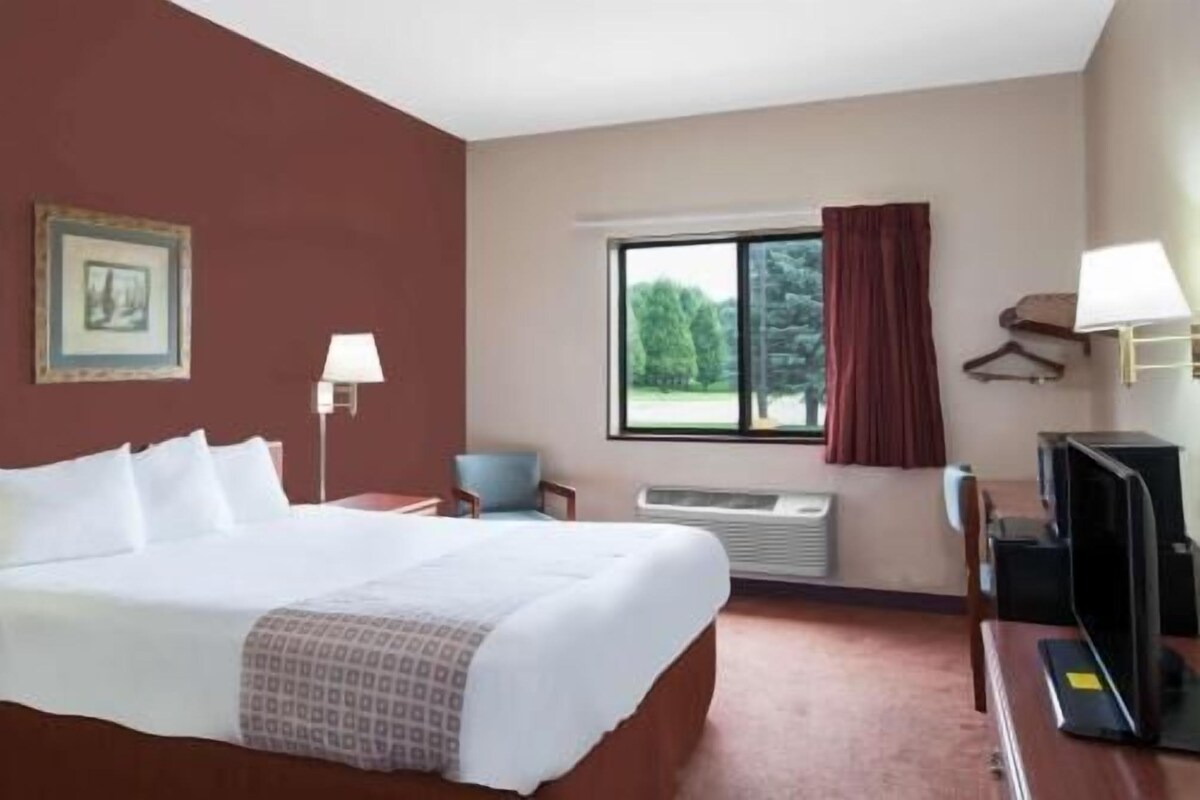 A hotel room with a bed, a desk, a chair, a TV, a window with a view of trees, and a framed picture on the wall.
