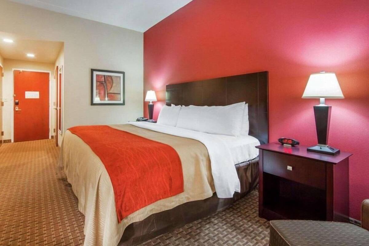 A hotel room with a bed, two bedside tables, a red wall, a carpeted floor, and a door.