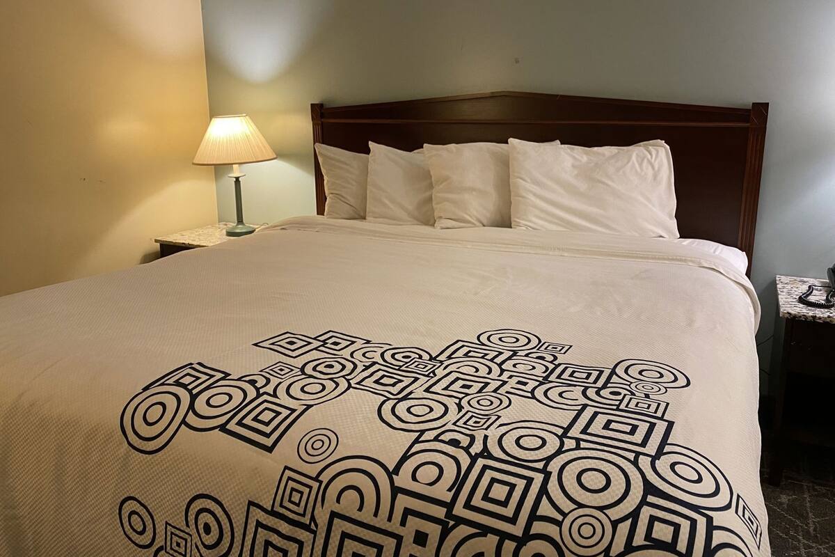 Uma cama com colcha estampada, mesa de cabeceira com abajur e cabeceira de madeira.
