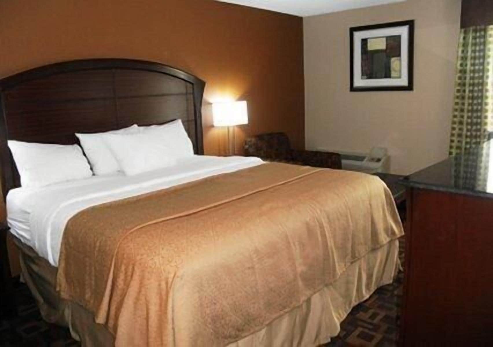 A hotel room with a large bed, a bedside lamp, a framed picture on the wall, and a desk with a chair.