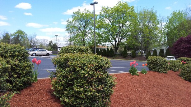 Garden - President Inn & Suites (Gettysburg)