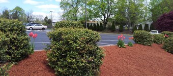 President Inn & Suites