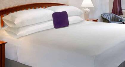 Knights Inn Forest Hill