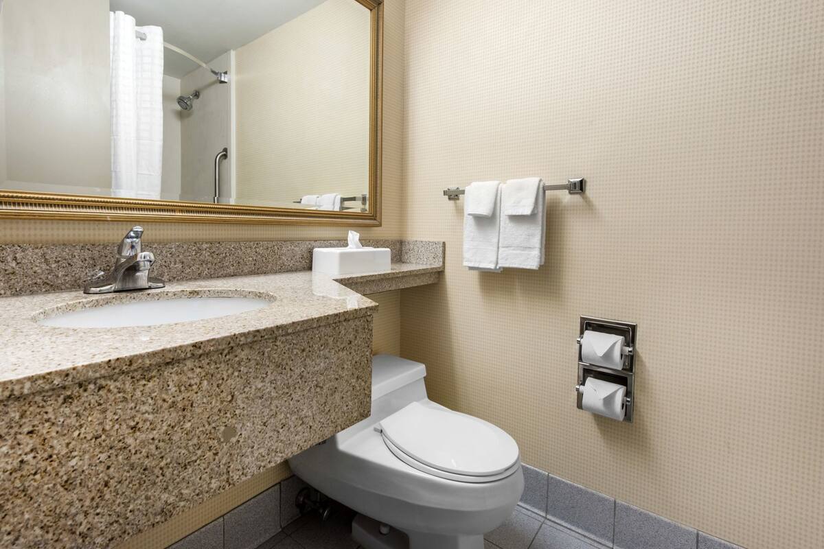 A bathroom with a granite countertop sink, a toilet, a towel rack, and a mirror.