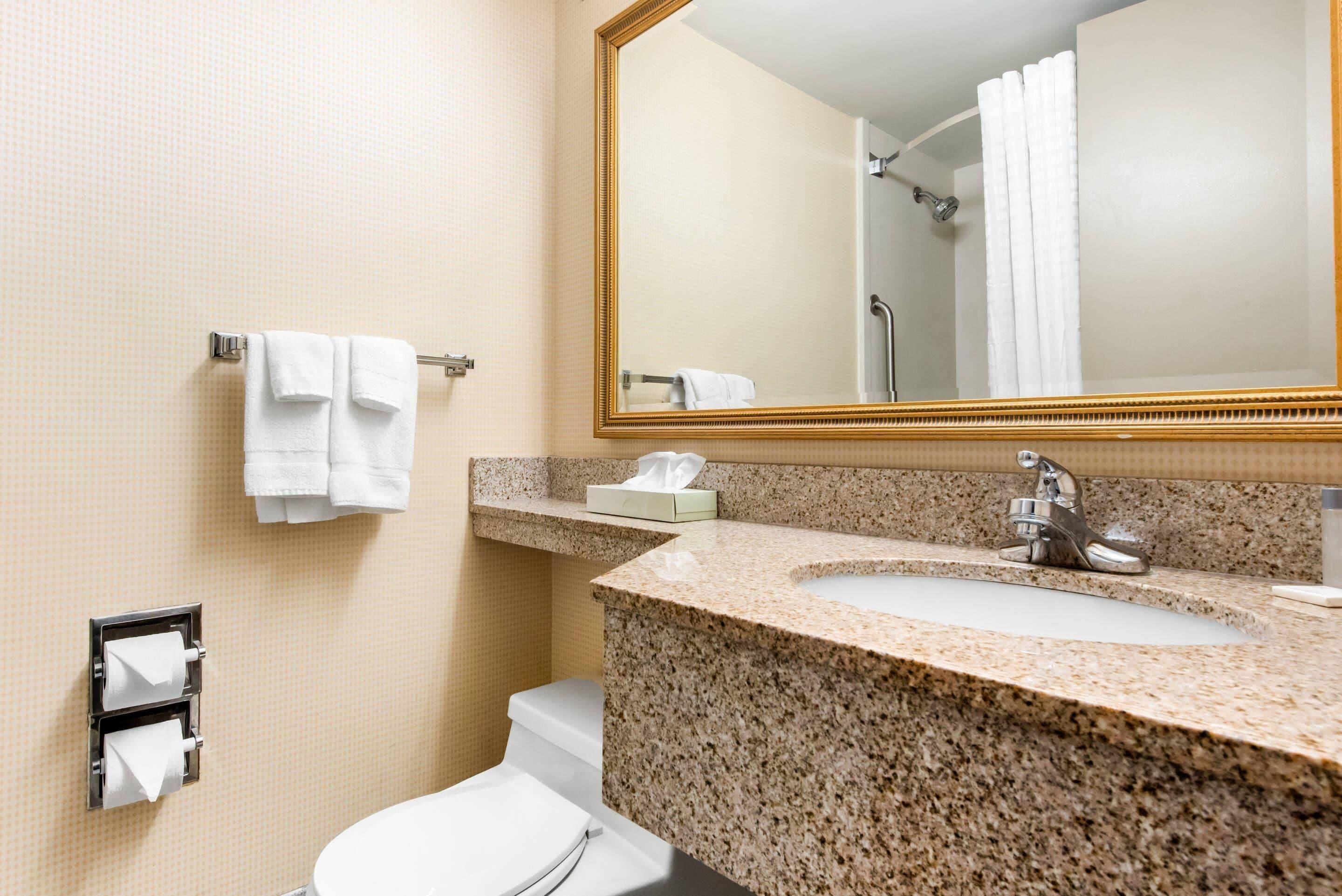 Un baño con lavamanos, espejo, toallero y retrete.