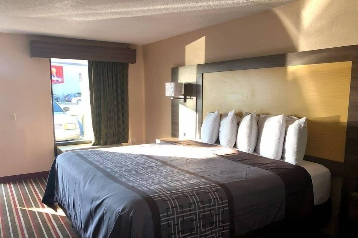 A hotel room with a large bed, a nightstand, a lamp, and a view of the outside.