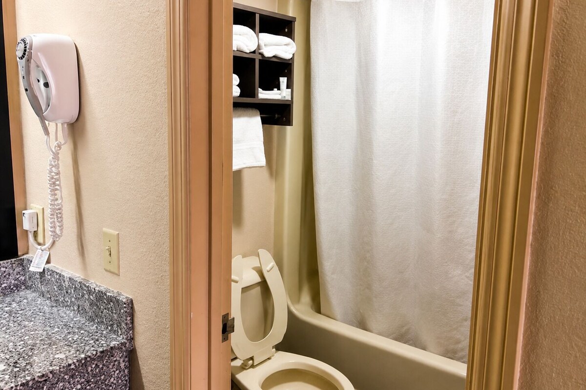 Combined shower/tub, free toiletries, hair dryer, towels