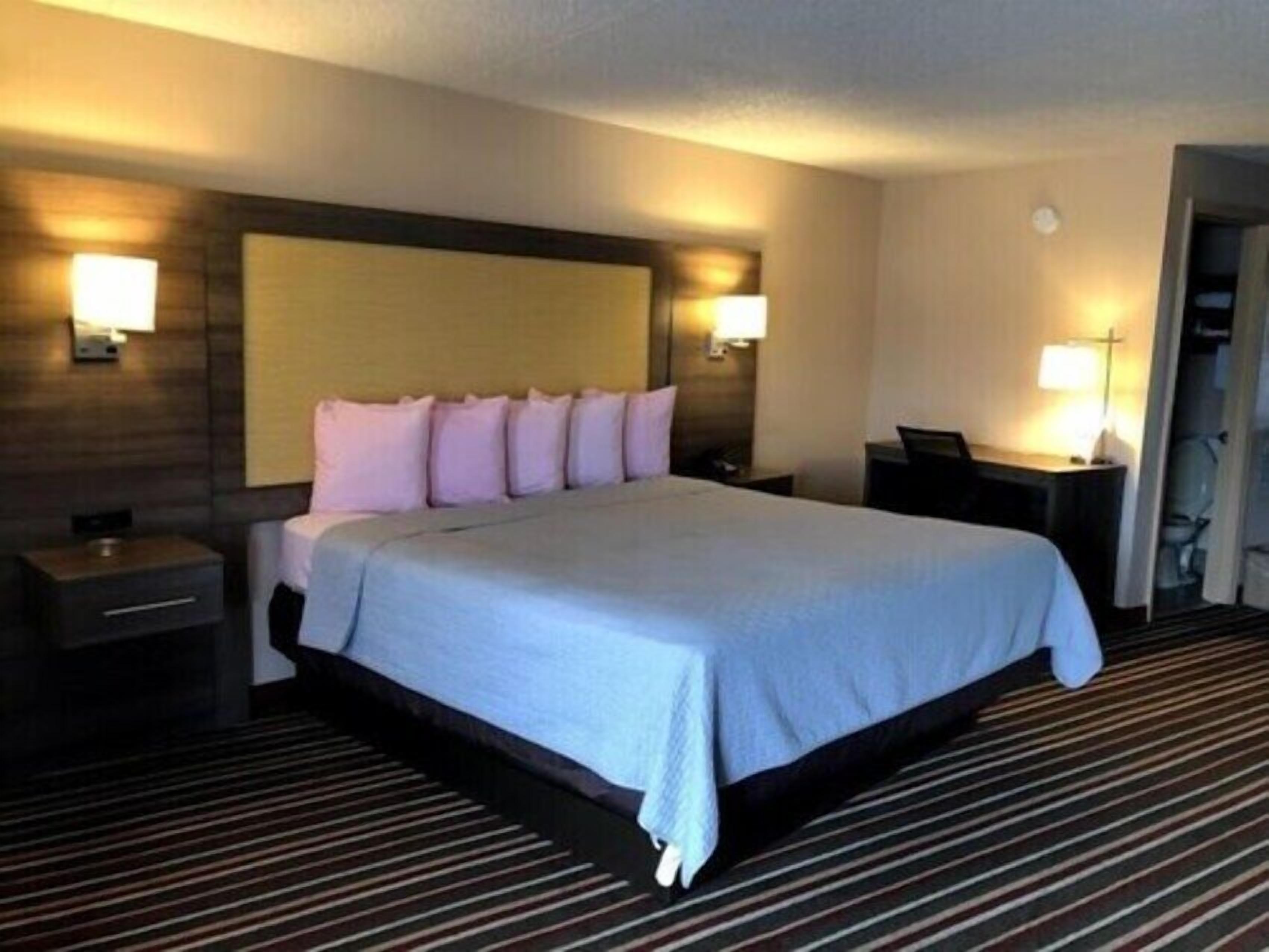 Premium bedding, down comforters, WiFi (free), bed sheets
