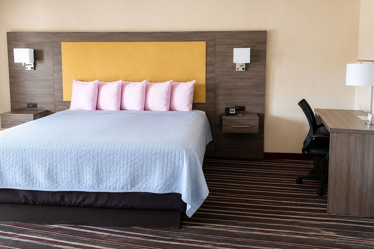 Premium bedding, down comforters, WiFi (free), bed sheets