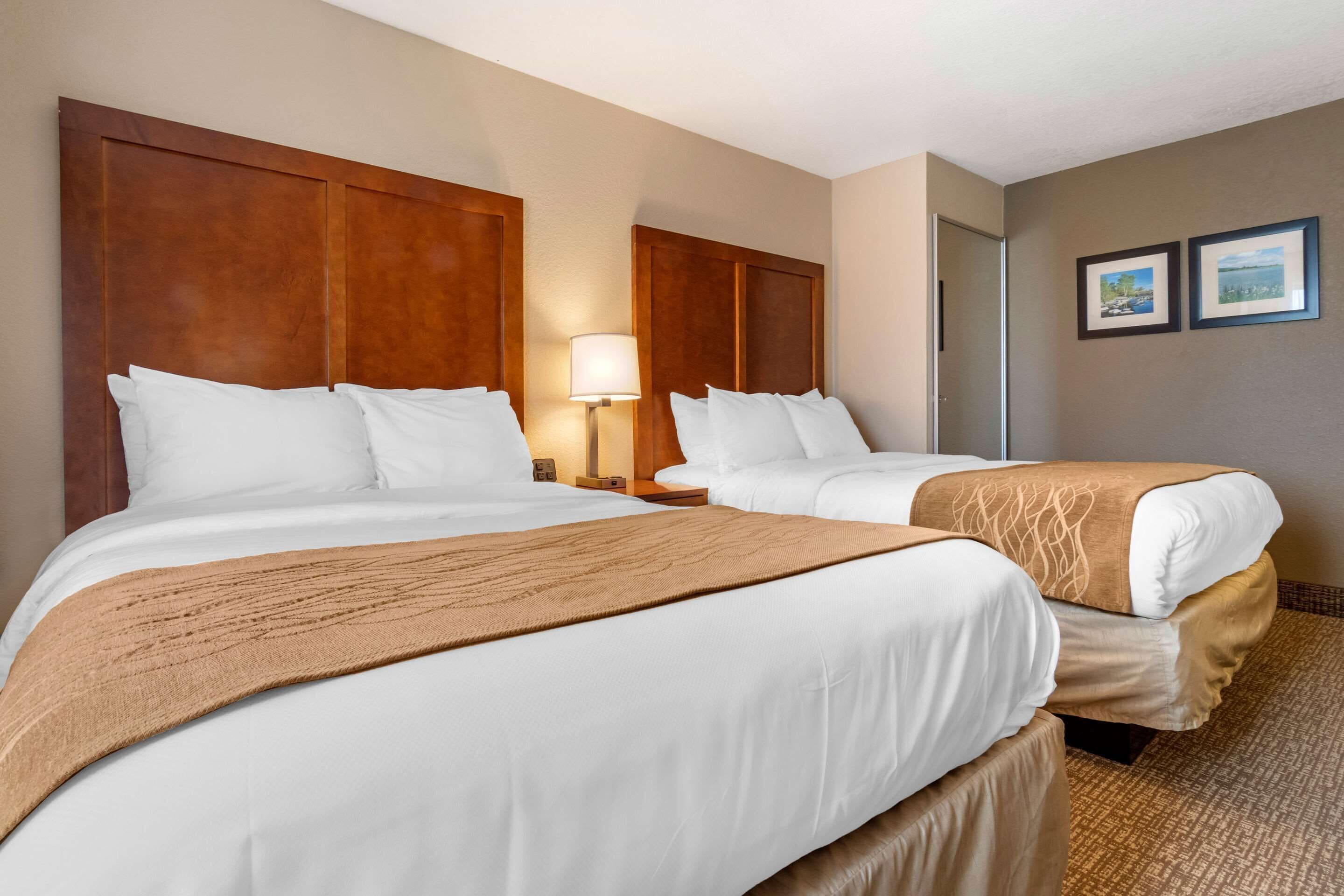 standard double room, 2 double beds, non smoking | in-room safe, desk, laptop workspace, iron/ironing board