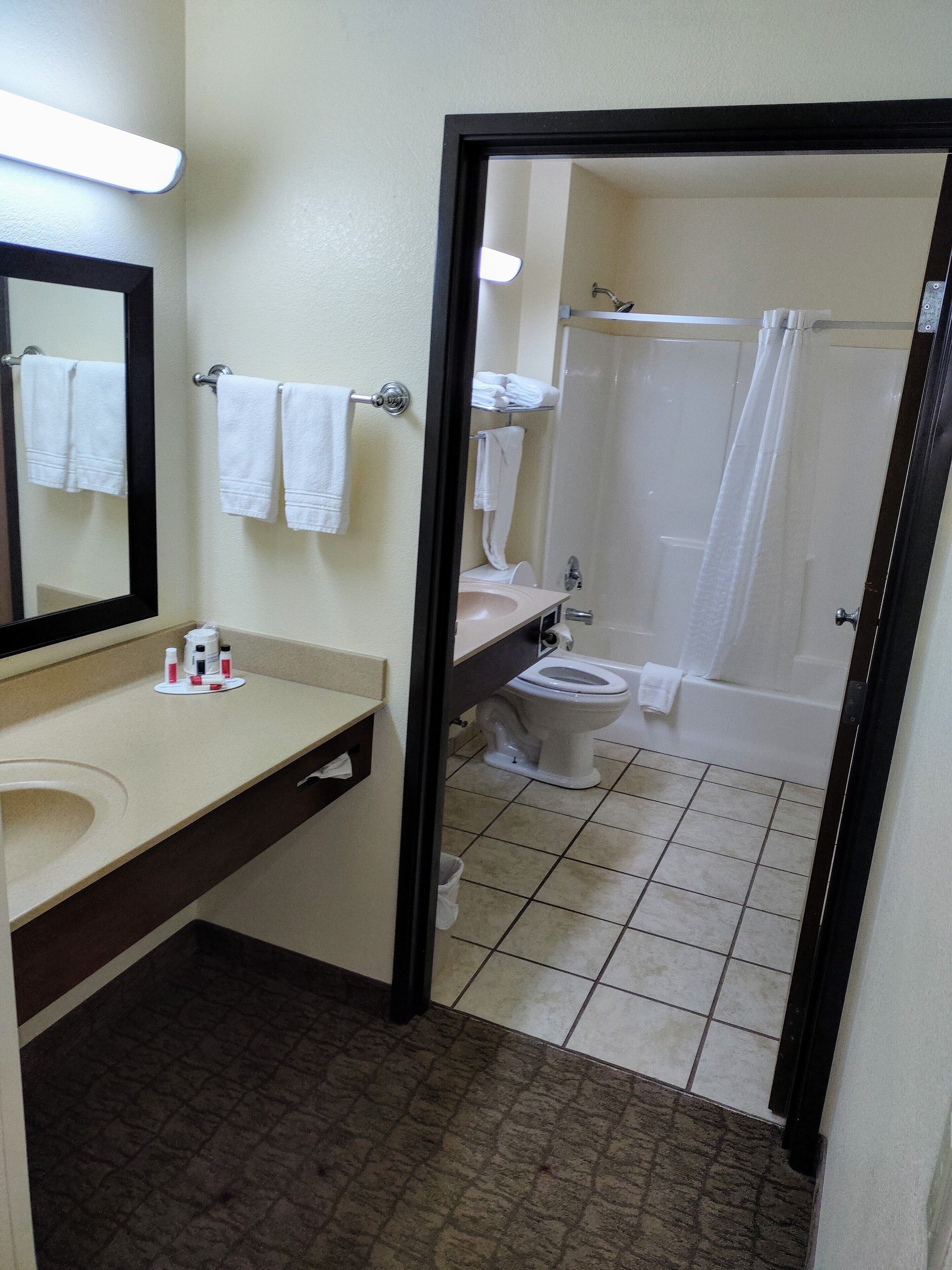 A bathroom with a sink, mirror, and toilet.