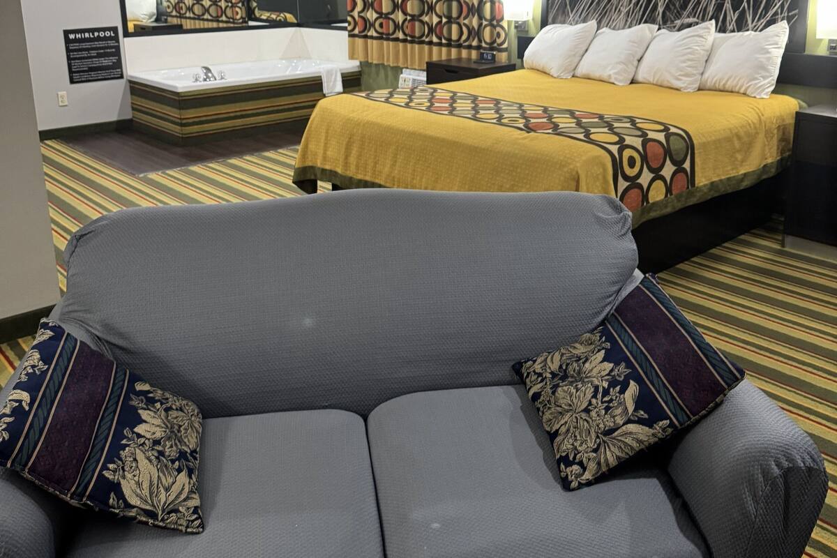 A hotel room with a sofa, a bed with a patterned bedspread, a large mirror, and a wall with a nature-themed artwork.