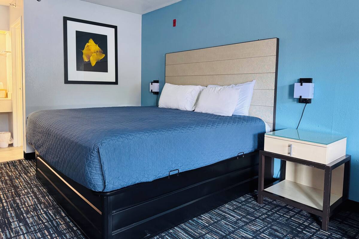 A hotel room with a bed, a bedside table, a nightstand, a wall-mounted light, and a framed picture on the wall.