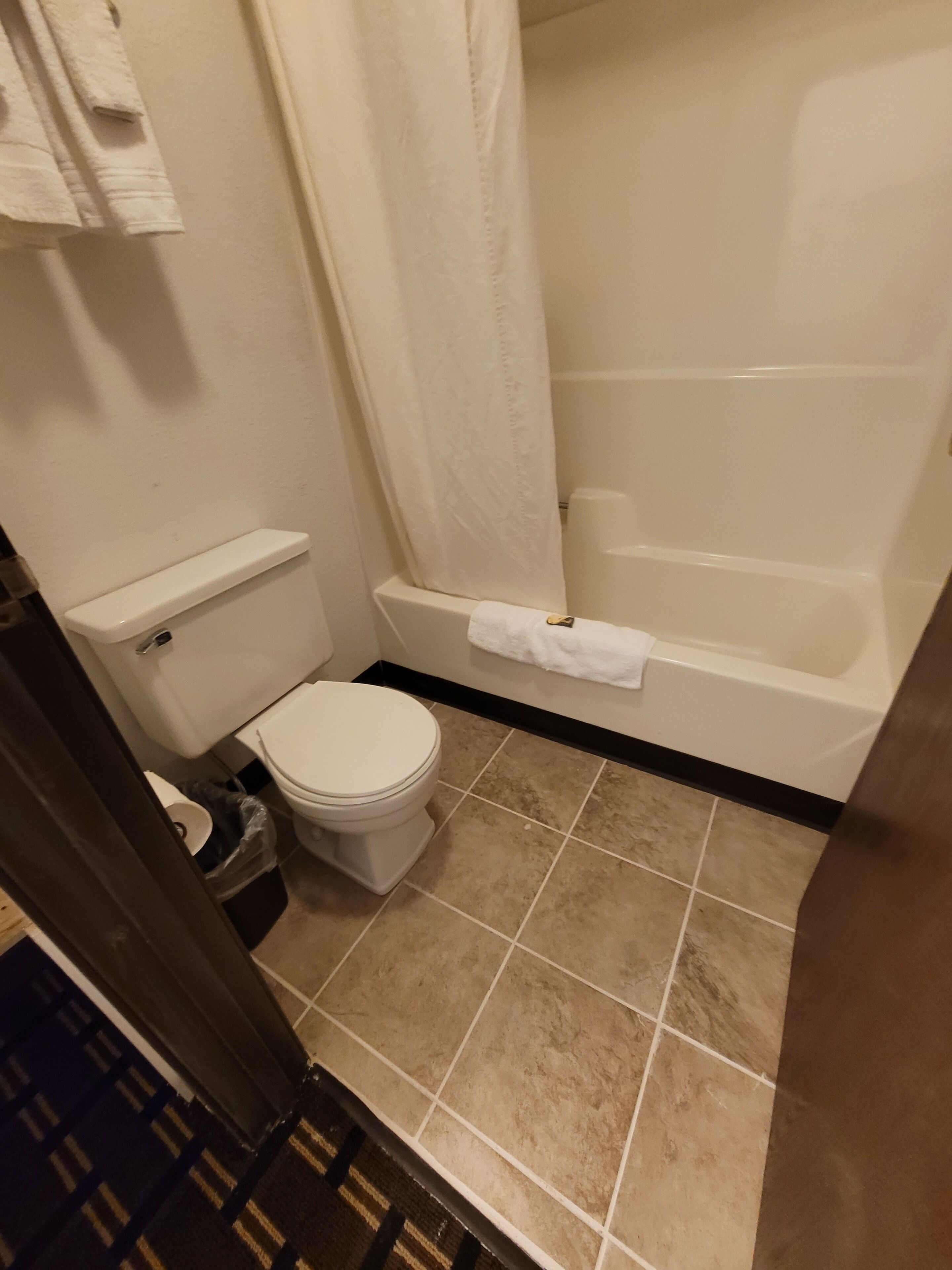 A bathroom with a toilet, a bathtub, and a shower curtain.