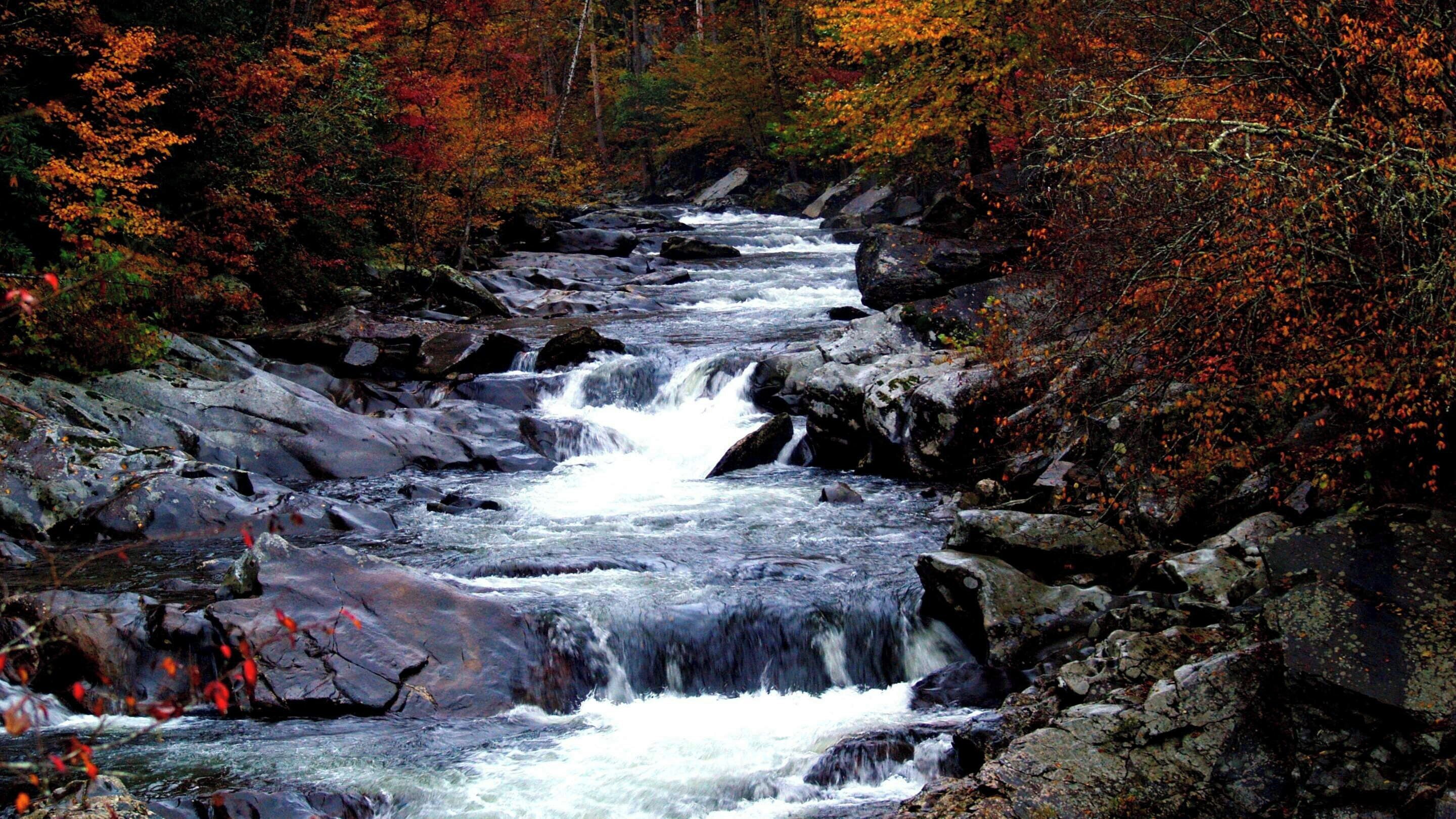 Une rivière qui traverse un paysage rocheux, bordé d’un feuillage automnal.