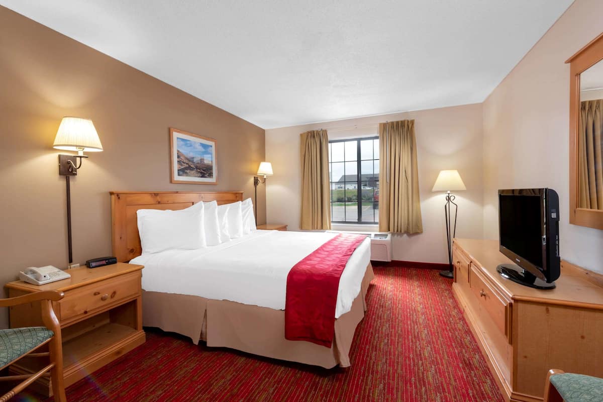 1 bedroom, desk, iron/ironing board, free WiFi