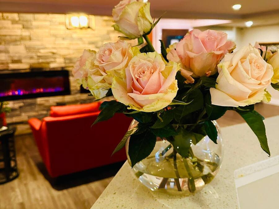 Un vaso con rose rosa su un ripiano in una stanza con una parete in pietra e un divano rosso.
