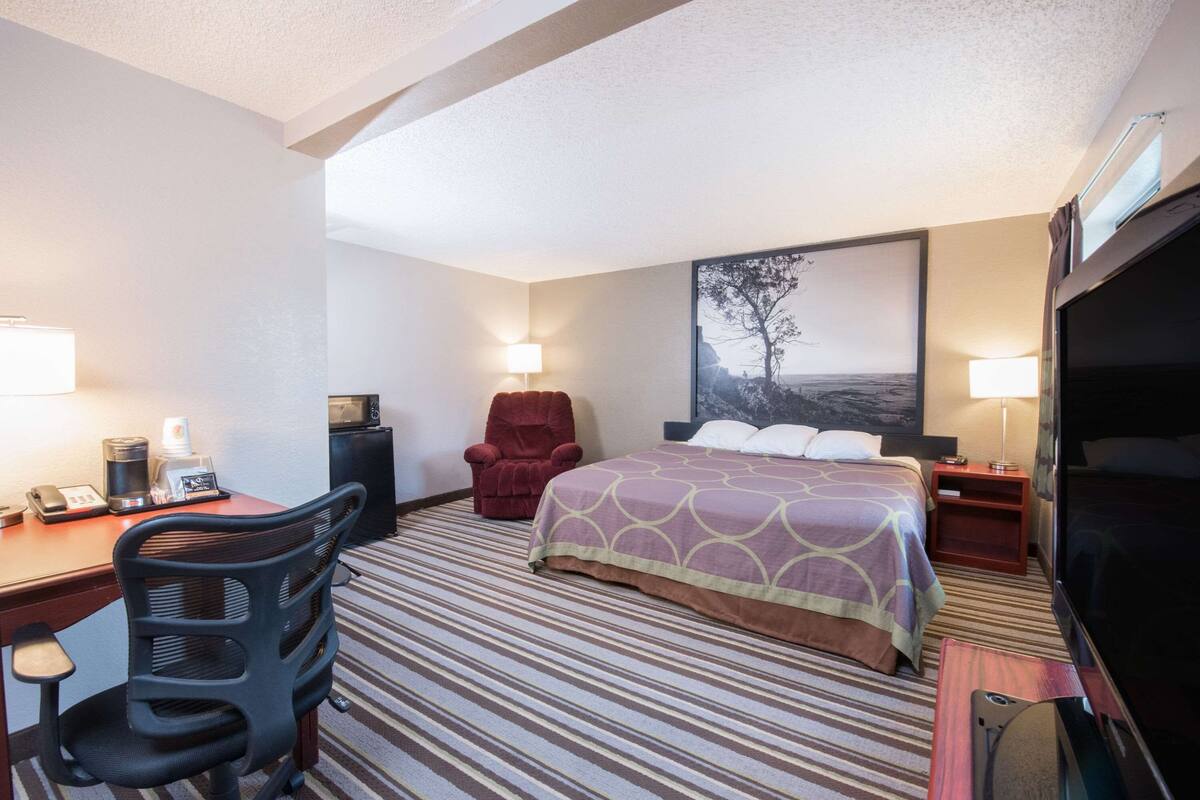 Une chambre d’hôtel avec un lit, un bureau, une chaise, une télévision et un tableau au mur.