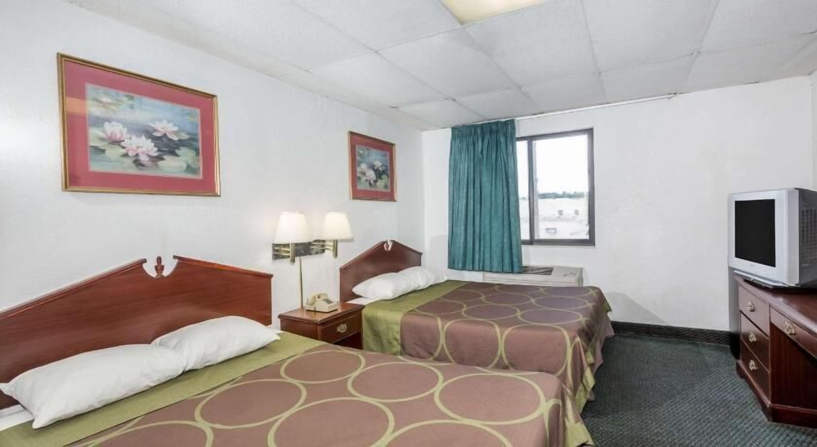 Desk, free cots/infant beds, rollaway beds, free WiFi