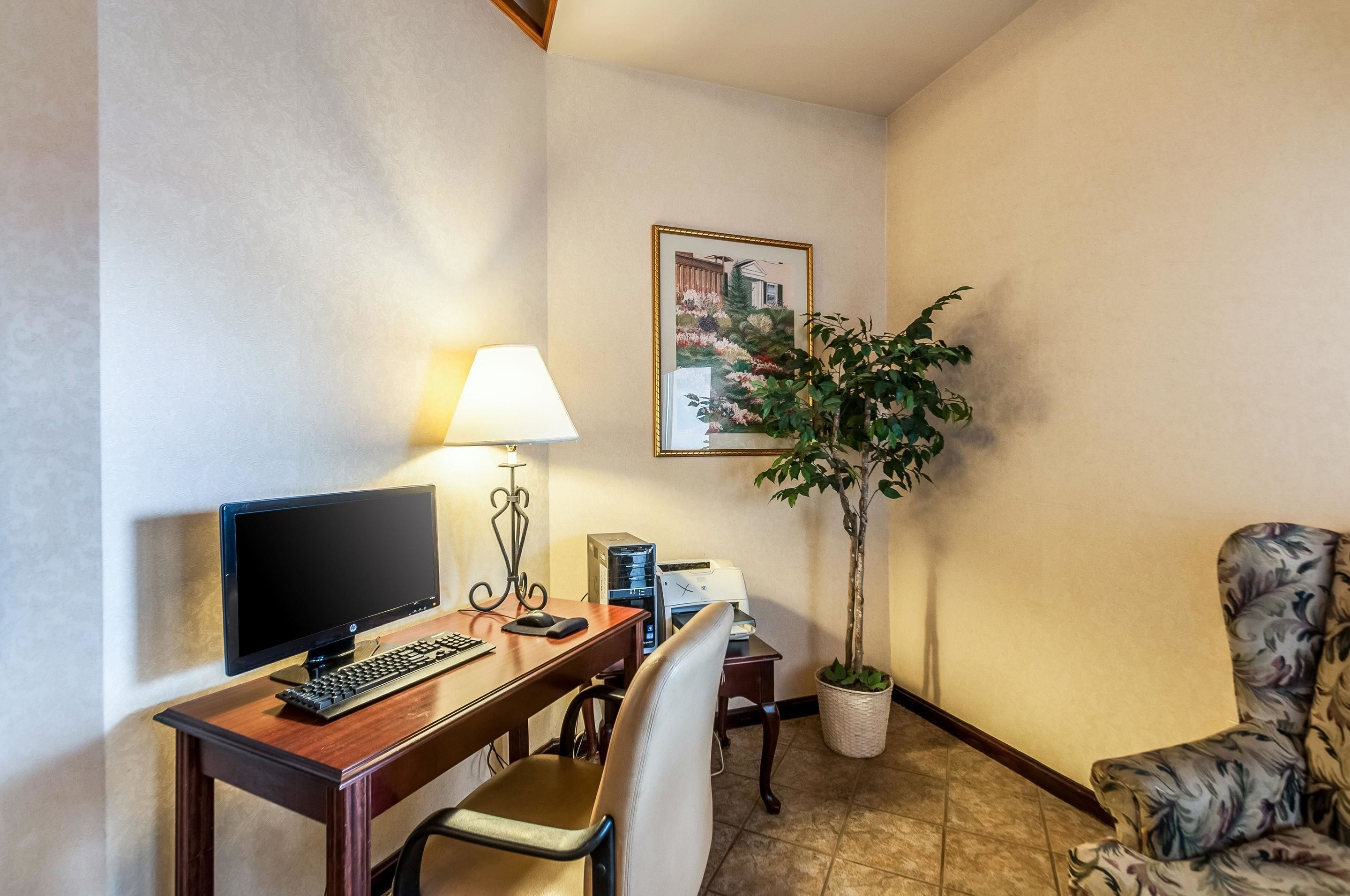 Et hotelværelse med skrivebord, computer, lampe, stol og en potteplante.