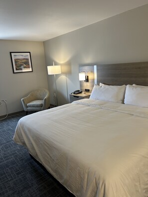 Room, 1 King Bed, Non Smoking | Tempur-Pedic beds, desk, blackout drapes, free WiFi