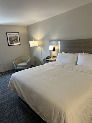 Room, 1 King Bed, Non Smoking | Tempur-Pedic beds, desk, blackout drapes, free WiFi