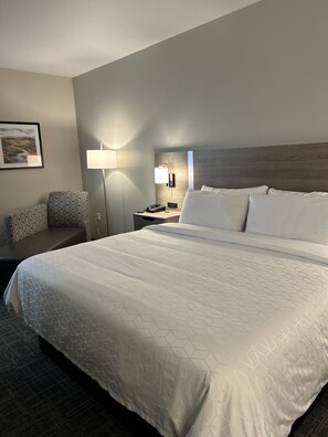 Room, 1 King Bed, Non Smoking | Tempur-Pedic beds, desk, blackout drapes, free WiFi