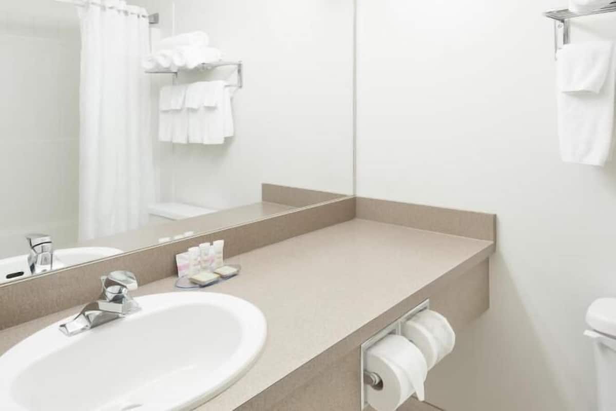 Bathroom | Combined shower/tub, free toiletries, hair dryer, towels