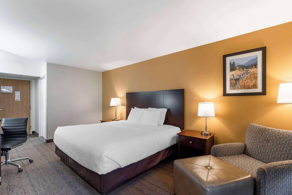 A hotel room with a large bed, a desk, a chair, a sofa, and a framed picture on the wall.