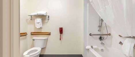 A bathroom with a toilet, a shower, and a handrail.