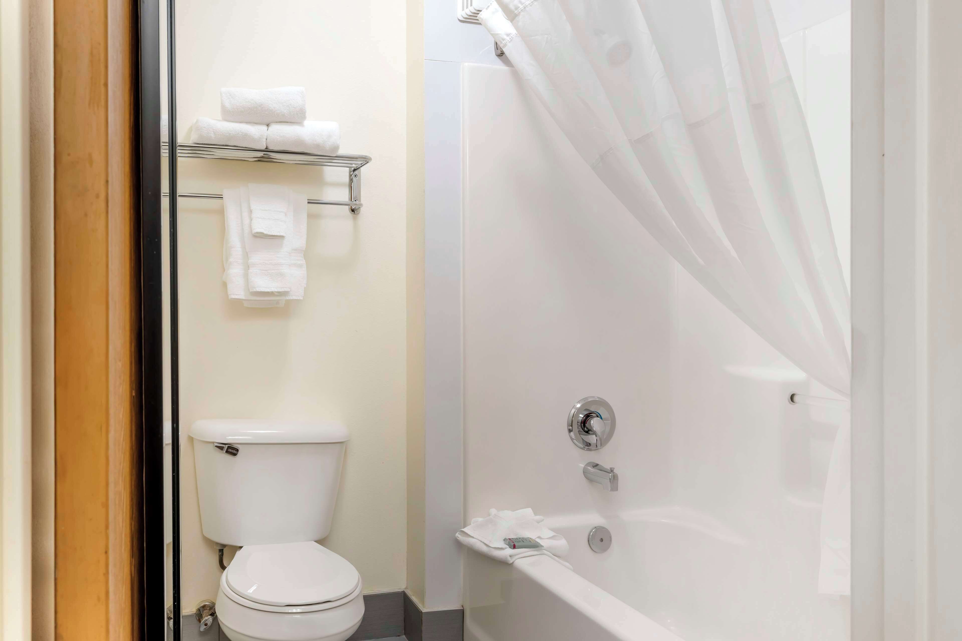 standard room, 1 king bed, non smoking (with sofabed) | bathroom | combined shower/bathtub, deep-soaking bathtub, free toiletries