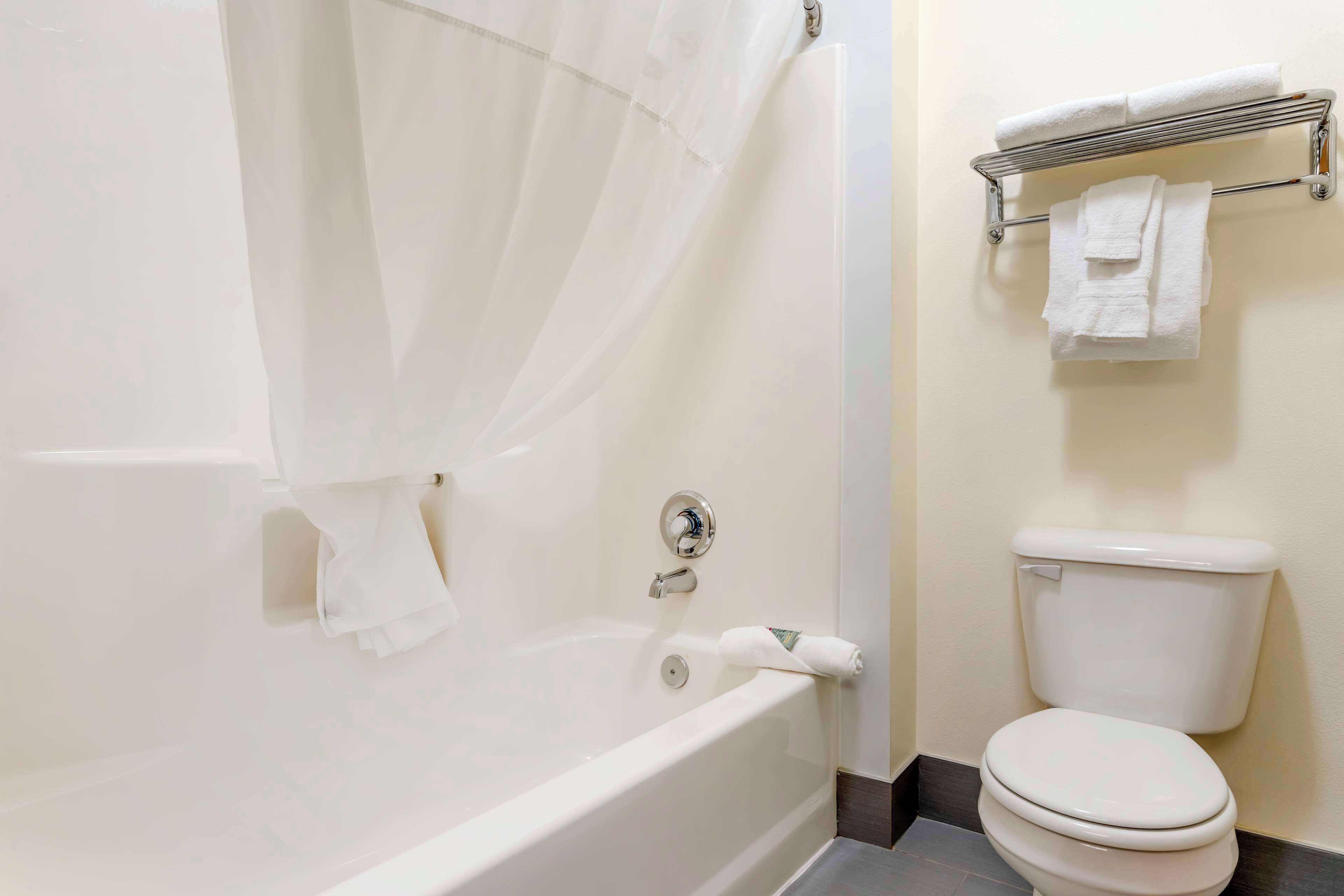 suite, 1 king bed, non smoking, refrigerator & microwave | bathroom | combined shower/bathtub, deep-soaking bathtub, free toiletries