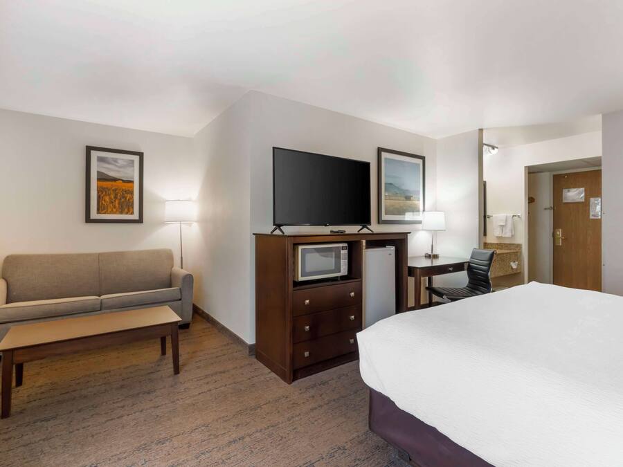 A hotel room with a bed, a sofa, a desk with a TV, a microwave, and a chair.