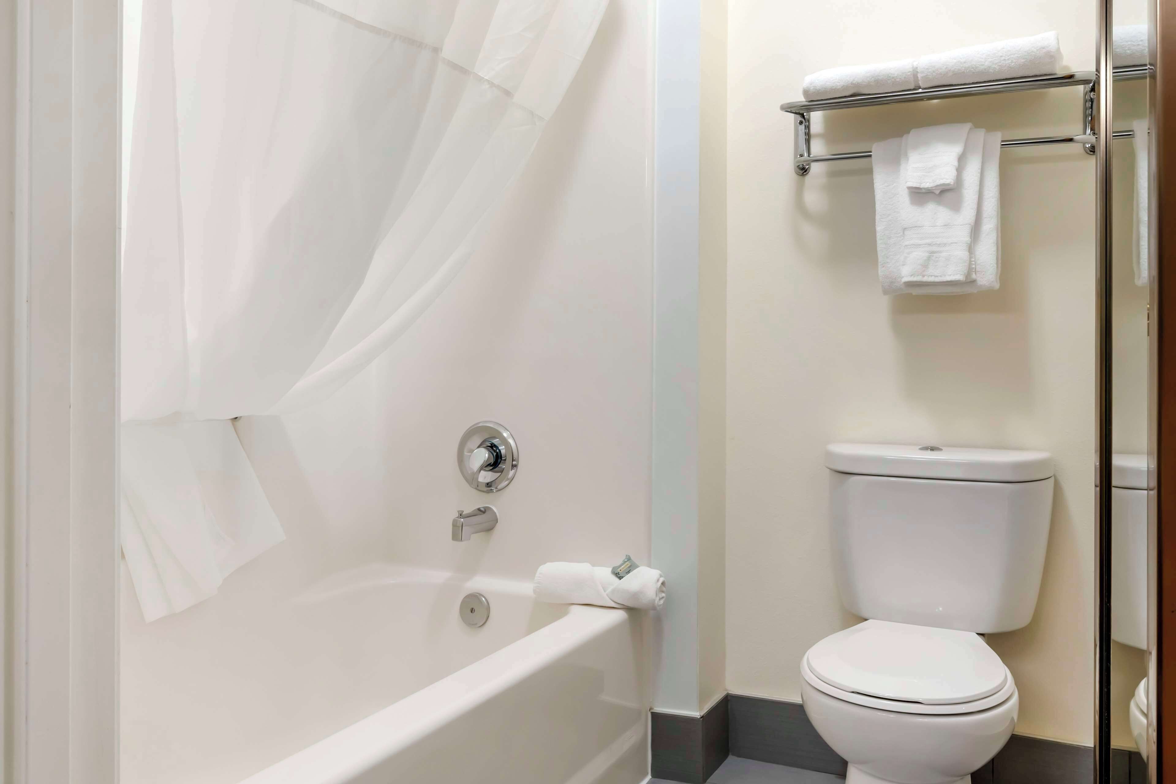 suite, 1 queen bed, non smoking, refrigerator & microwave | bathroom | combined shower/bathtub, deep-soaking bathtub, free toiletries
