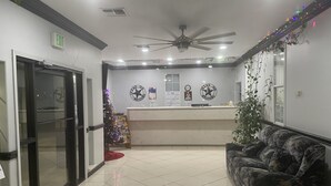 منطقة الاستقبال