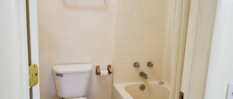 A bathroom with a toilet, a bathtub, and a shower.