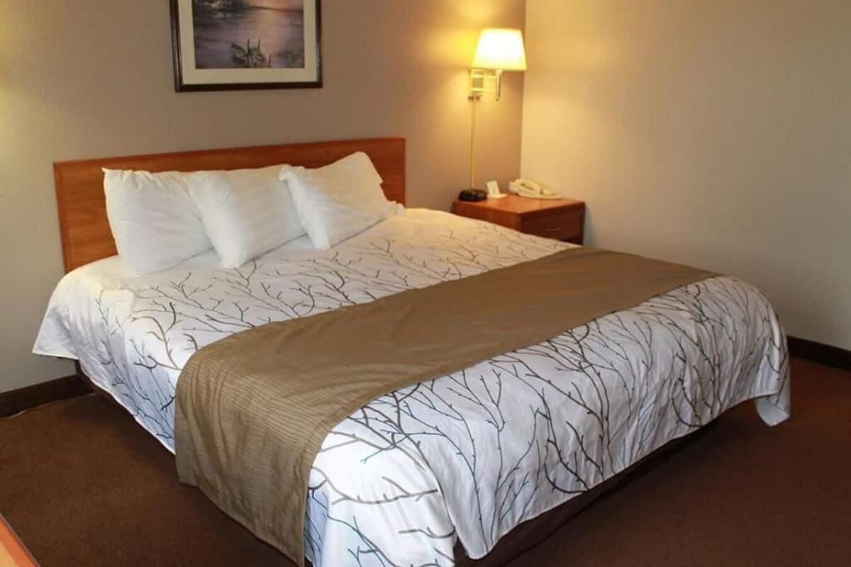 Habitación estándar, 1 cama King size, regadera para personas con discapacidad | Wifi gratis y ropa de cama