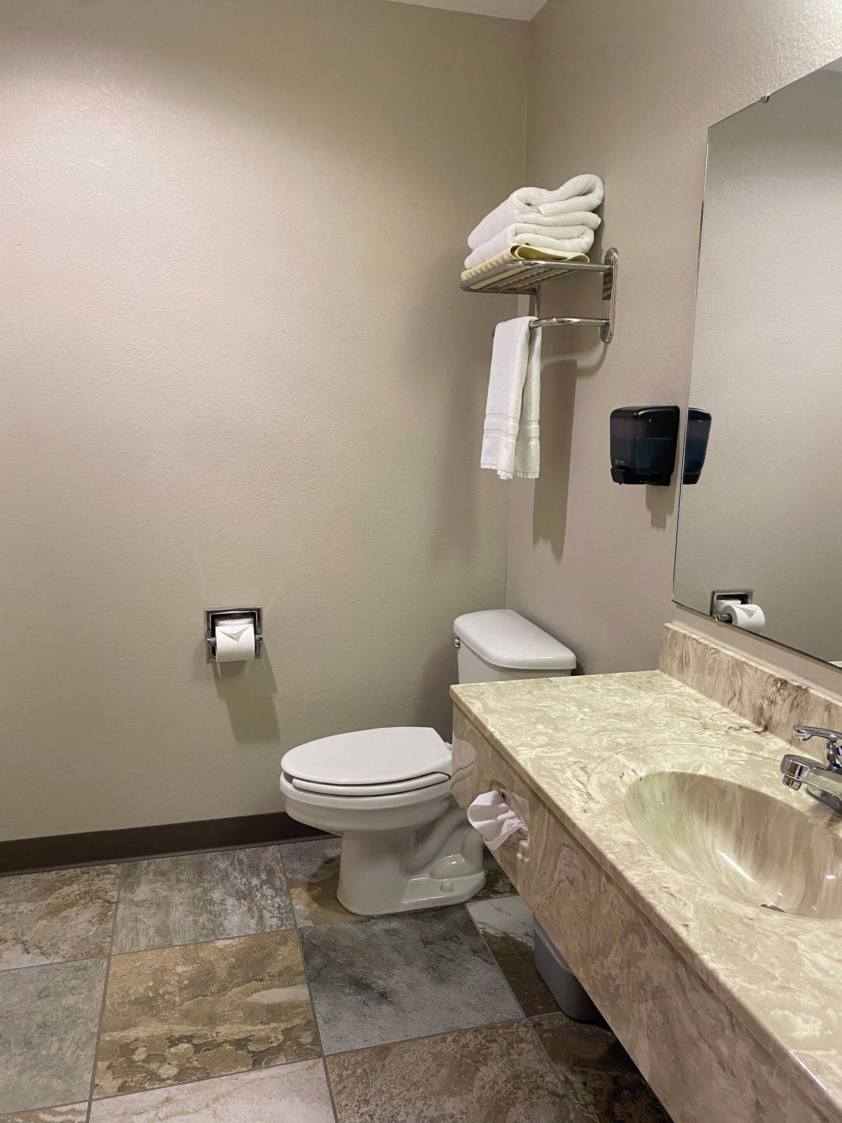 Et badeværelse med toilet, håndvask, håndklædetørrestativ og spejl.
