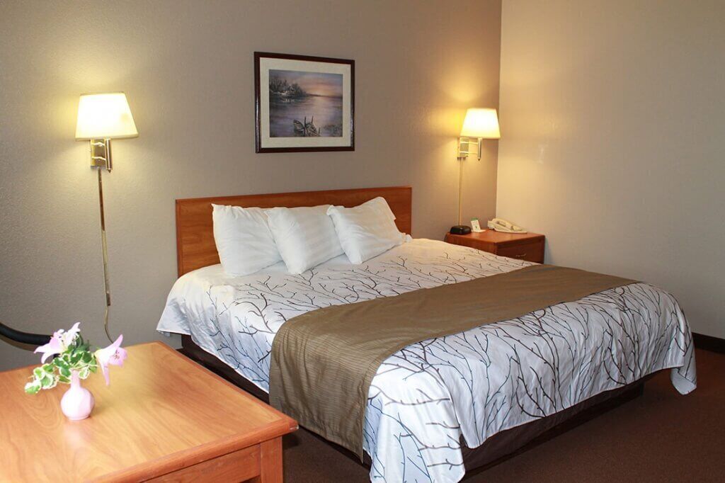 standard room, 1 king bed | free wifi, bed sheets