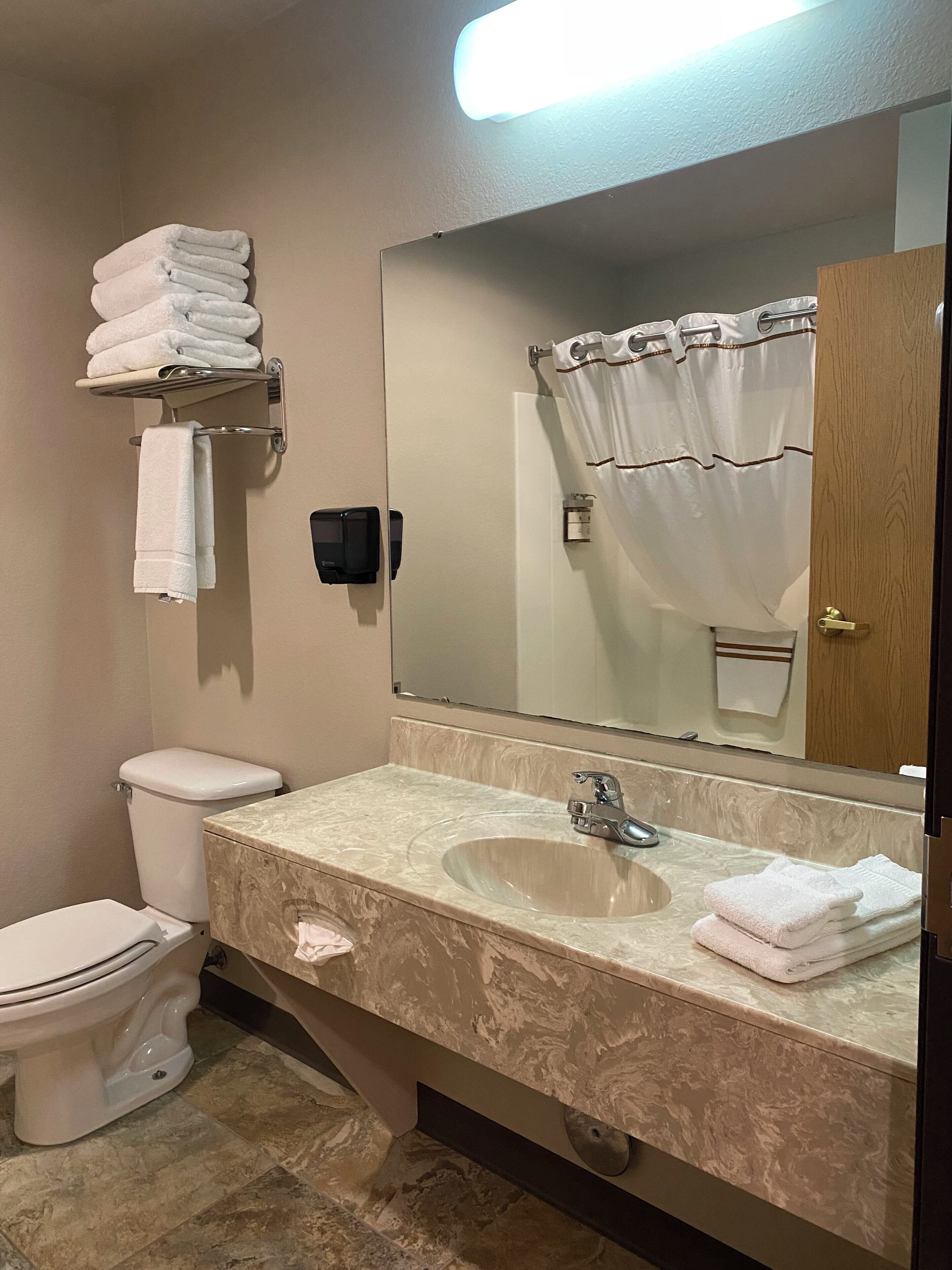 A bathroom with a toilet, sink, mirror, towel rack, and shower curtain.